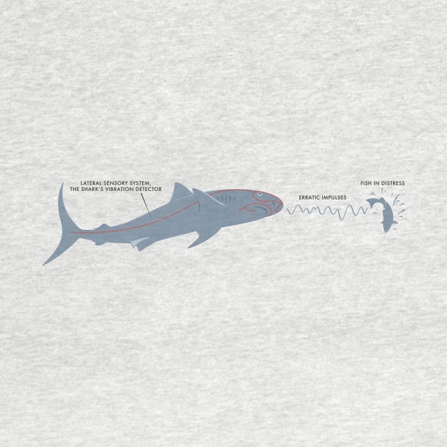 Jaws — Brody's Book by GraphicGibbon